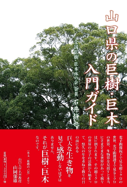 山口県の巨樹・巨木入門ガイド