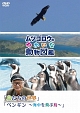 『ムツゴロウのゆかいな動物図鑑』シリーズ「鳥たちの世界」　「ペンギン　〜海中を飛ぶ鳥〜」