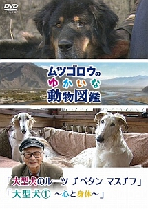 『ムツゴロウのゆかいな動物図鑑』　シリーズ　「大型犬のルーツ　チベタンマスチフ」　「大型犬１　～心と身体～」