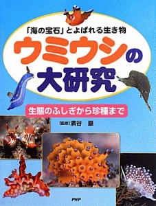 ウミウシの大研究 「海の宝石」とよばれる生き物