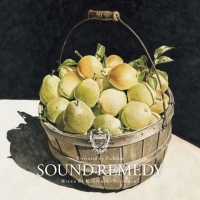 Ｓｏｕｎｄ　Ｒｅｍｅｄｙ　－Ｆｏｌｋｌｏｖｅ－　ｍｉｘｅｄ　ｂｙ　Ｋｅｎｉｃｈｉｒｏ　Ｎｉｓｈｉｈａｒａ