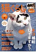 猫ぐらし　２０１３Ｓｕｍｍｅｒ　ネコ補給してますか？