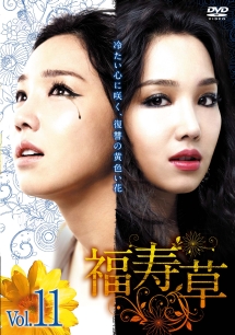 福寿草 レンタルDVD 韓国ドラマ 全巻セット Amazon.co.jp: 韓国ドラマ 福寿草 DVD 1-36巻 全巻セット