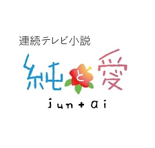 連続テレビ小説　純と愛　総集編