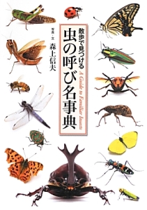 虫の呼び名事典　散歩で見つける