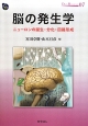 脳の発生学