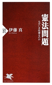 憲法問題