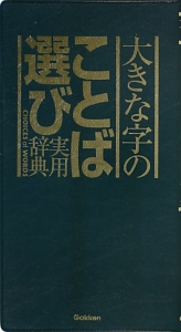 大きな字のことば選び実用辞典