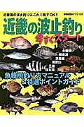 近畿の波止釣り　今すぐスタート