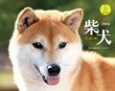 柴犬　カレンダー　2014