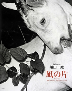 人間の記憶/須田一政 - 販売書籍｜TSUTAYA レンタル・販売 商品在庫検索