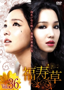 【韓国ドラマ】福寿草　DVD 全36巻　全巻セット　イ・ユリ 福寿草 Vol.36 - レンタルDVD｜TSUTAYA レンタル・販売 商品在庫検索