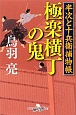 極楽横丁の鬼　半次と十兵衛捕物帳