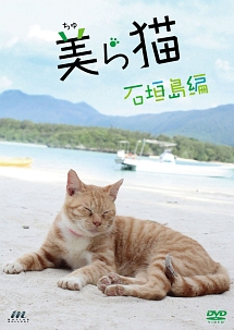 美ら猫　石垣島編