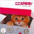 ここが好き！〜The　kitten　in　a　basket〜　カレンダー　2014