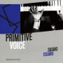 PRIMITIVE　VOICE　〜SING　WITH　THE　PIANO　LIVE　2013〜