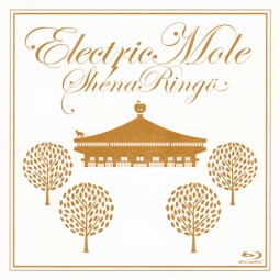 Ｅｌｅｃｔｒｉｃ　Ｍｏｌｅ