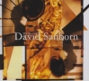 BEST　OF　DAVID　SANBORN　（REIS）