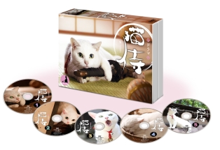 猫侍　DVD－BOX