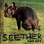 SEETHER　2002　－　2013