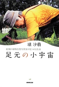 足元の小宇宙