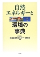 自然エネルギーと環境の事典