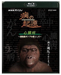 ＮＨＫスペシャル　病の起源　心臓病　～高性能ポンプの落とし穴～