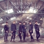 Fall　in　Love／Shape　of　your　heart（通常盤A）(DVD付)