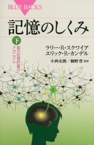 記憶のしくみ（下）　脳の記憶貯蔵のメカニズム