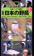 日本の野鳥＜新版＞