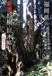 福岡県の厳選巨樹・巨木巡り　入門ガイド