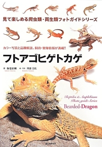 フトアゴヒゲトカゲ　カラー写真と品種解説、飼育・繁殖情報が満載！！