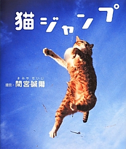 猫ジャンプ