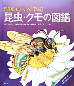 レタスバーガープリーズ Ok Ok 完全版 松田奈緒子の漫画 コミック Tsutaya ツタヤ