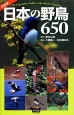 日本の野鳥650＜決定版＞