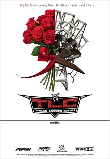 ＷＷＥ　ＴＬＣ　２０１３