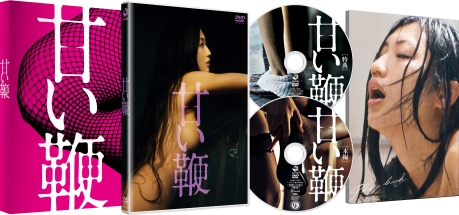 甘い鞭　ディレクターズ・ロングバージョン　ＤＶＤ　ＢＯＸ