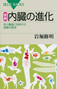 図解・内臓の進化