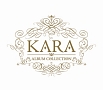 KARA　ALBUM　COLLECTION(DVD付)