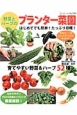 野菜とハーブのプランター菜園