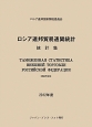 ロシア連邦貿易通関統計　統計集　2012