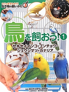 鳥を飼おう セキセイインコ ブンチョウ ジュウシマツ カナリア コツがまるわかり 生き物の飼いかた3 1 横浜市立野毛山動物園 本 漫画やdvd Cd ゲーム アニメをtポイントで通販 Tsutaya オンラインショッピング 鳥を飼おう セキセイインコ ブンチョウ ジュウシマツ カナリア コツがまるわかり 生き物の飼いかた3 1 横浜市立野毛山動物園 本 漫画やdvd Cd ゲーム アニメをtポイントで通販 Tsutaya オンラインショッピング