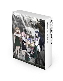 極黒のブリュンヒルデ DVD-BOX 2