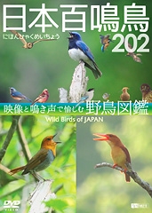 シンフォレストＤＶＤ　日本百鳴鳥　２０２　映像と鳴き声で愉しむ野鳥図鑑