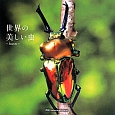世界の美しい虫〜Insects〜