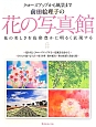 前田絵理子の花の写真館　花の美しさを色彩豊かに明るく表現する