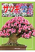 サツキ　盆栽と花を楽しむ