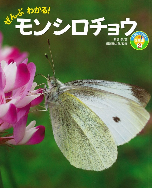 ぜんぶわかる!モンシロチョウ しぜんのひみつ写真館2