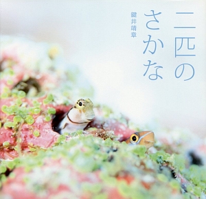 二匹のさかな