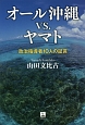 オール沖縄vs．ヤマト
